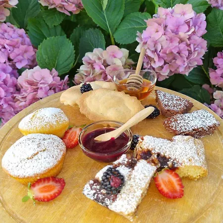 Bed and breakfast Il Girasole